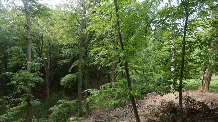 Uspjela je pobjeći i uživati u tri mjeseca slobode, a onda su je omamili i vratili