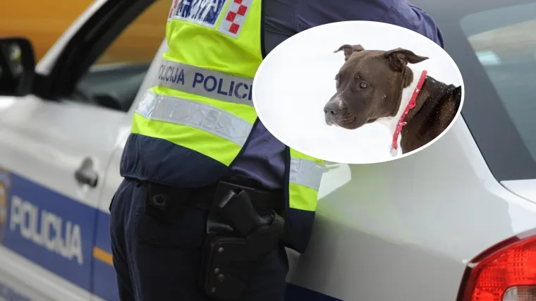 Policajac izvan dužnosti ubio mu psa: 'Metak je Rexu slomio kralježnicu, ubrzo je uginuo'