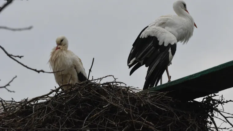 Jeste li znali da postoji selo roda u Hrvatskoj