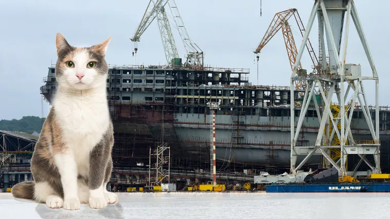 Nevjerojatna dobrota radnika Uljanika: Traže pomoć za vi&scaron;e od 200 mačaka koje su u brodogradili&scaron;tu