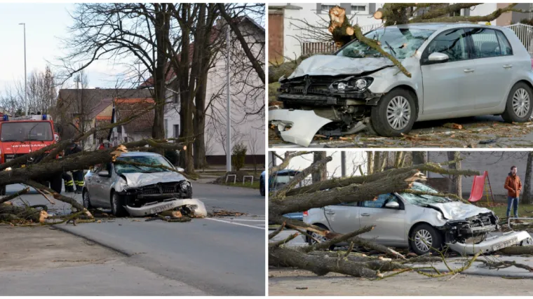 Te&scaron;ka nesreća kod Slavonskog Broda: Stablo palo na auto u vožnji i smrskalo ga