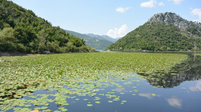 Skadarsko jezero - najveće jezero Balkanskog poluotoka