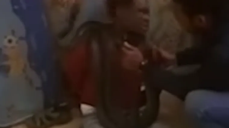 'Ma mediji su to prenapuhali, dvometarska zmija je bila pitoma'