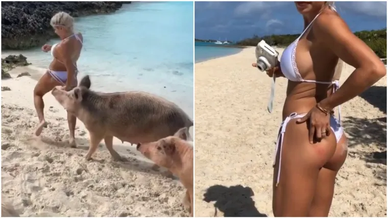 Manekenka pozirala na plaži sa svinjama pa skoro ostala bez guze; snimka je viralni hit