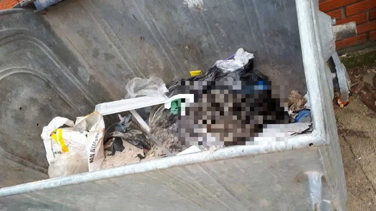 Užas u Belom Manastiru: Stavio štence u vreću, izmlatio ih pa bacio u kontejner