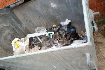 Užas u Belom Manastiru: Stavio štence u vreću, izmlatio ih pa bacio u kontejner