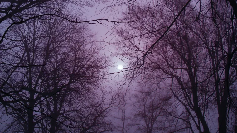 &Scaron;to se to dogodilo blizu Karlovca? Misteriozni zvukovi i podrhtavanja uznemirili građane