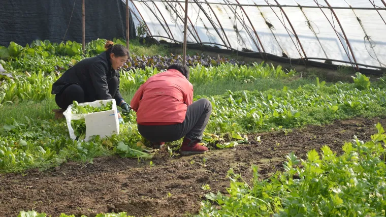 Znate li kako pripremiti vrt u ožujku