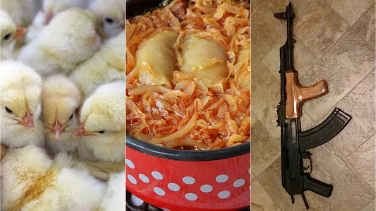 Živi pilići, vreća cementa, smrznuta sarma: 7 najbizarnijih stvari koje &scaron;alju (ili bi željeli poslati) ljudi iz ovog dijela Europe