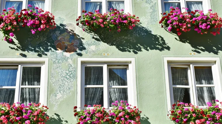 Sadnja cvijeća u žardinjere: zaljubite se u ovaj način sadnje biljaka