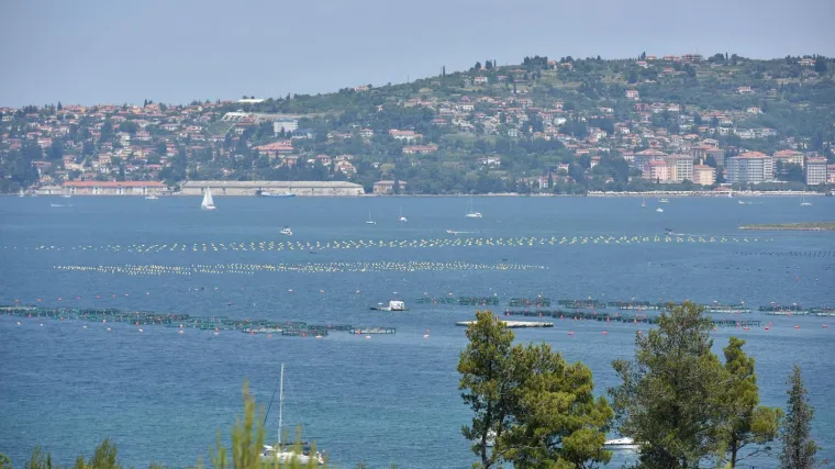 'Ni jedan nije izdržao dulje od nekoliko dana'
