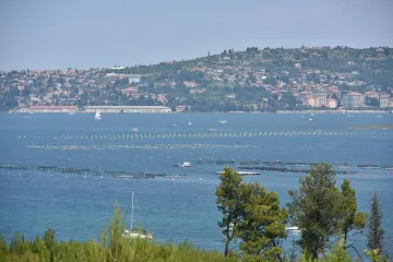 'Ni jedan nije izdržao dulje od nekoliko dana'