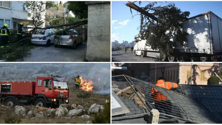 Tko je odgovoran ako vam stablo padne na auto i kako tražiti od&scaron;tetu?