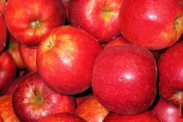 Koje stare hrvatske sorte jabuka postoje?