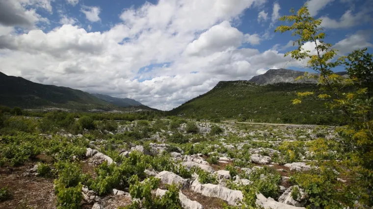 Mladi ste, a želite živjeti na selu? Ovaj kraj će davati i 120.000 kuna za gradnju ili obnovu kuće