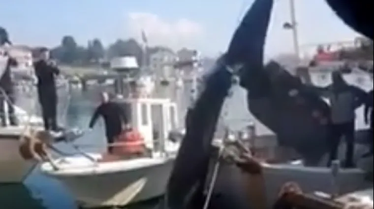 Ogroman morski pas se zapetljao u mrežu savudrijskog ribara. Srećom, znali su što treba napraviti