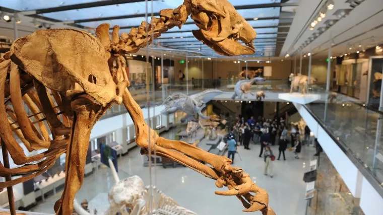 Otkriva sve o klimi i okolišu u posljednjoj godini njegova života