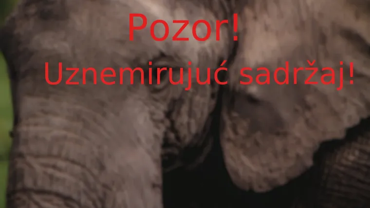 &Scaron;okantno: Mu&scaron;karac izgubio balans, pao ispod slona koji je na njega sjeo i umro je