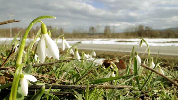 Sti&scaron;ćemo pauzu, proljeće mora malo pričekati!