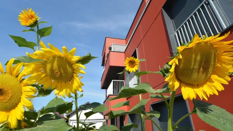 Prosječna cijena kvadrata novoga stana u Hrvatskoj gotovo 12.000 kuna