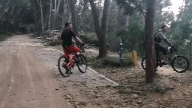 Ruše se i zdrava stabla, Splićane koji su snimili devastaciju policija tjerala da brišu slike?