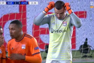 Reakcija Camp Noua rastopit će vam srce