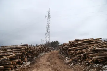 Životno je ugrožen, ima višestruke prijelome