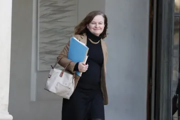 Francuska ministrica svog mačka nazvala Brexit: 'Mijauče svako jutro, hoće van. Otvorim mu vrata, a on stoji i samo me gleda'