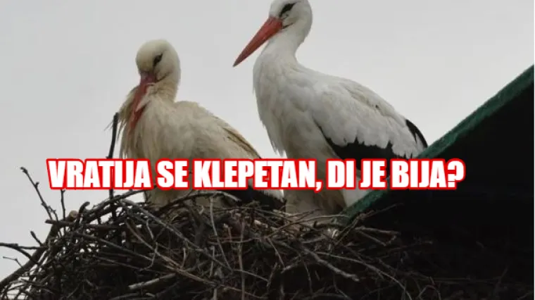 Ranije no ikad, Klepetan se vratio Malenoj: 'Dvaput su vodili ljubav'