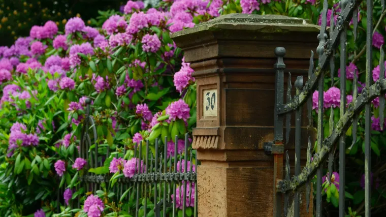 Uređenje malog vrta: kako urediti mali vrt?