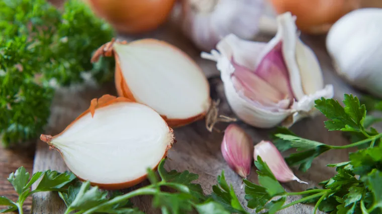 Sadnja luka u proljeće: treba li saditi luk u proljeće?