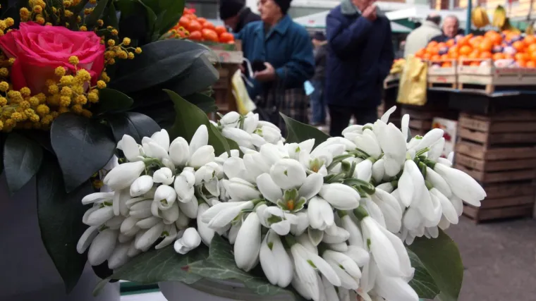 'To nam daju bog i priroda, a vi nas progonite'