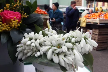 'To nam daju bog i priroda, a vi nas progonite'