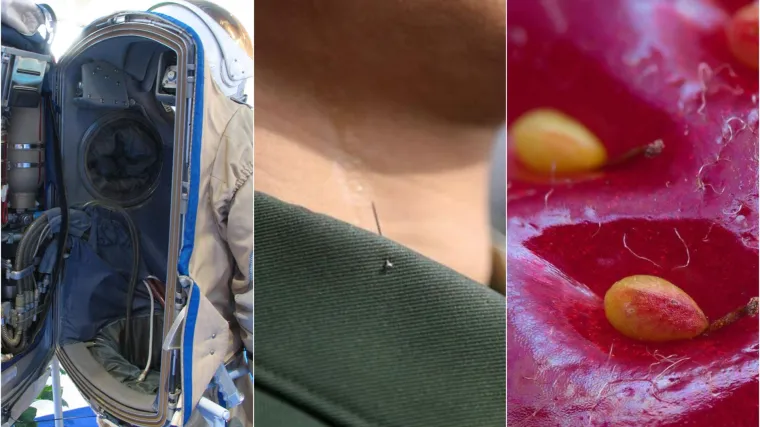 Svijet nosi tajne skrivene negdje duboko unutra: 20 rijetkih fotografija koje prikazuju život na Zemlji