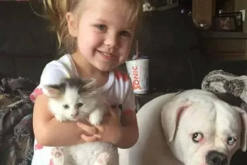 LJUBOMORA... ILI DIVLJENJE SAMO?! Urnebesne face ljudi koji nisu imali pojma da ih fotkaju dok su najranjiviji