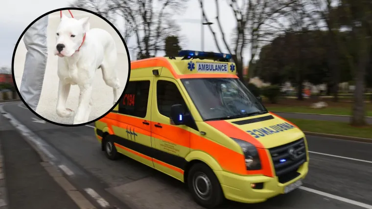 Pas izgrizao bebu, liječnici se bore za njezin život: 'O&scaron;tećen je mozak, ima vi&scaron;estruke prijelome'