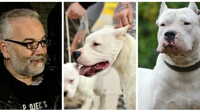 'Vlasnici su uvijek odgovorni, često ih sami dovedu do agresivnog pona&scaron;anja'