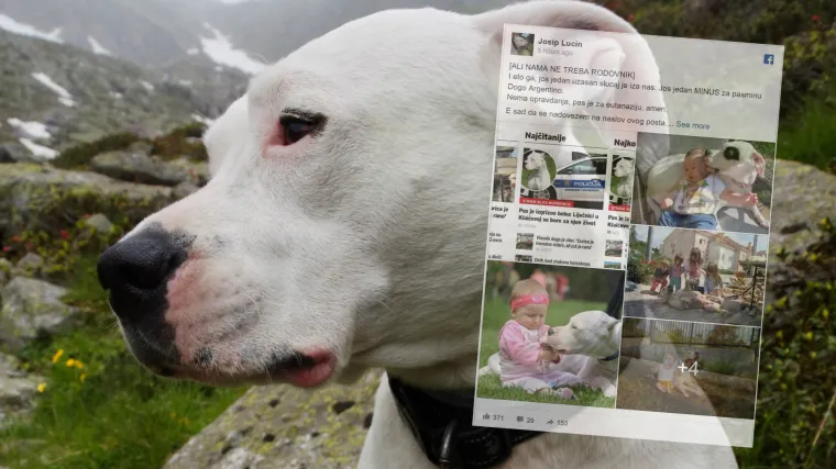 Uzgajivač argentinskih doga zgrožen: 'Pare sve i sva&scaron;ta. A za&scaron;to? Jer ima potražnje za jeftinom robom'