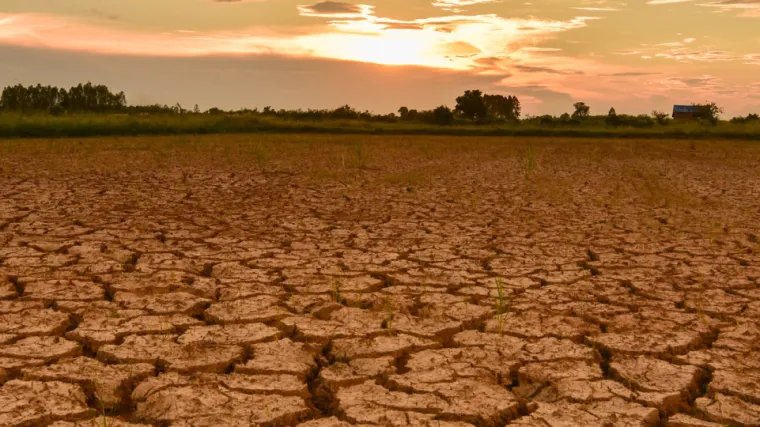 Slavonija ovakvu su&scaron;u nije imala 33 godine! Najcrnji scenariji se polako ostvaruju