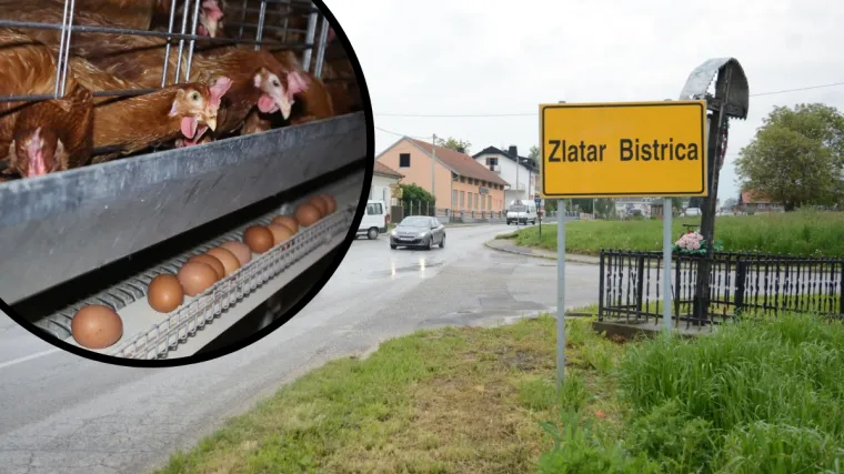 Na jednog stanovnika - 600 pilića: Mještani se žale na smrad, općina zabranila gradnju novih farmi