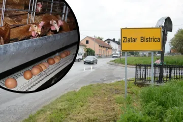 Na jednog stanovnika - 600 pilića: Mještani se žale na smrad, općina zabranila gradnju novih farmi