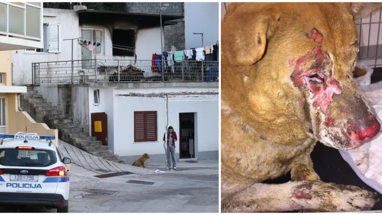 Požar izazvao otvoreni plamen? Otac i sin te&scaron;ko opečeni, stradala i njihova mezimica