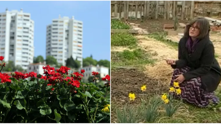 Biljke znaju pjevati, a to nam je otkrila Zagrepčanka Maja: 'Same pjevaju i svaka zvuči drugačije'