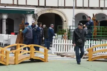 Zečevi stigli u Koprivnicu