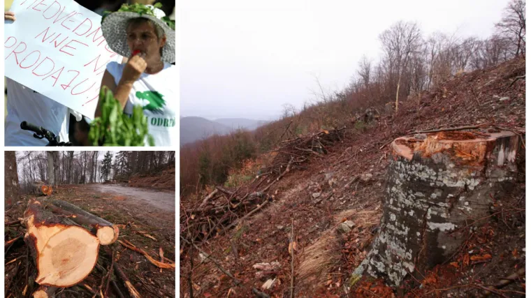 Traže pravdu za &scaron;ume: 'Uni&scaron;teno je sve zeleno &scaron;to živi na Medvednici - imamo dokaze'