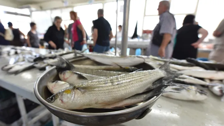 Znaju li građani &scaron;to jedu? Čak sedam od 10 riba u Jadranu u sebi ima plastiku