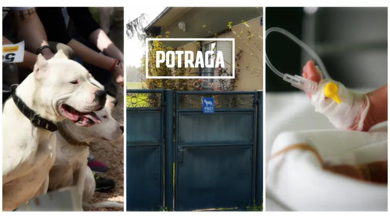 Potraga istražuje za&scaron;to: U dvije i pol godine psi su napali ljude čak 750 puta