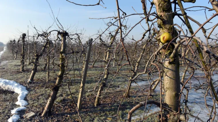 'Propadaju cijeli redovi, a ni tu nije kraj'