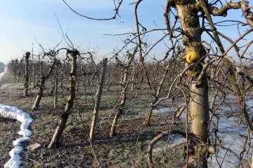 'Propadaju cijeli redovi, a ni tu nije kraj'