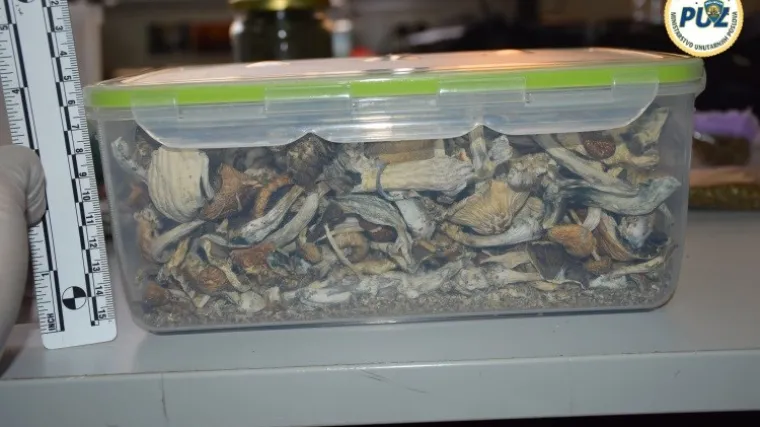 FOTO &Scaron;ok u centru Zagreba: U stanu imao 'lude' gljive, zmije otrovnice i epruvetu sa zmijskim otrovom